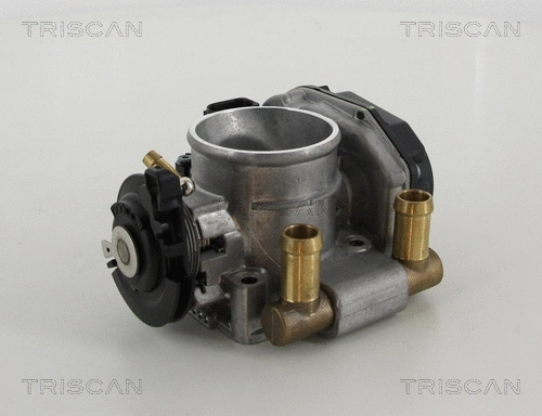 Throttle Body (8820 29014)