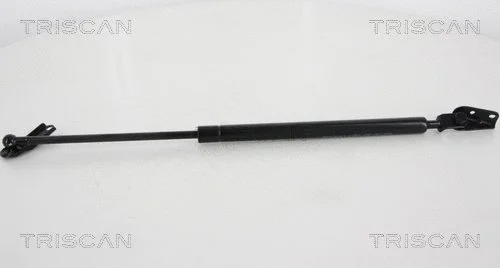 Gas Spring, boot/cargo area (8710 13214)