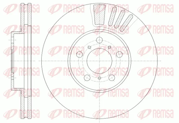 Brake Disc (6935 10)