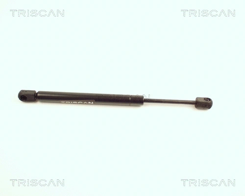 Gas Spring, boot/cargo area (8710 25204)