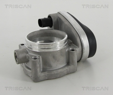 Throttle Body (8820 11001)