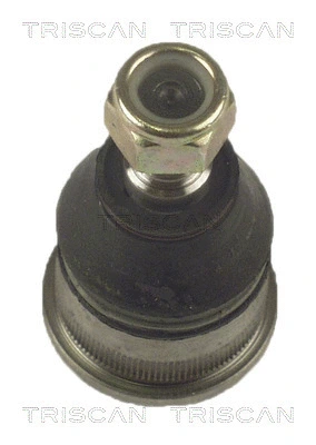 Ball Joint (8500 2481)