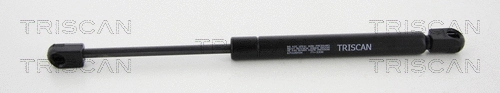 Gas Spring, boot/cargo area (8710 20109)