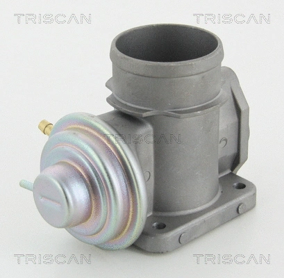 EGR Valve (8813 10101)