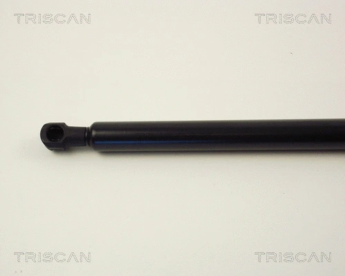 Gas Spring, boot/cargo area