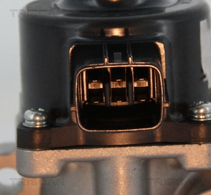 EGR Valve