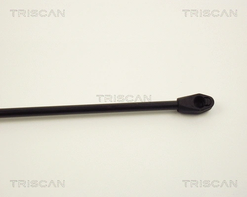 Gas Spring, boot/cargo area