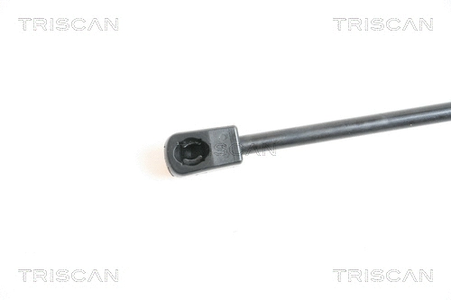 Gas Spring, bonnet
