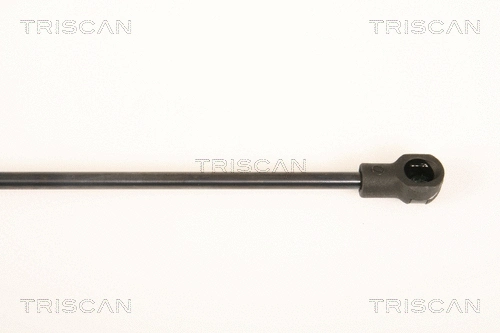 Gas Spring, rear window