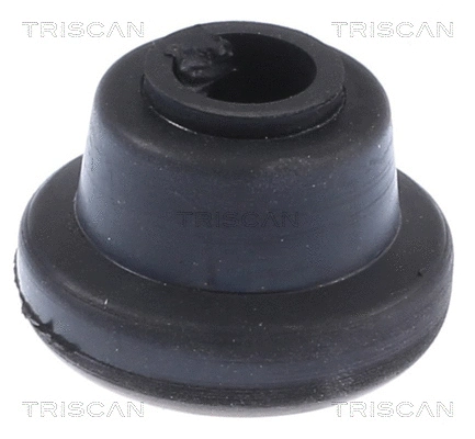 Mounting, control/trailing arm (8500 24879)