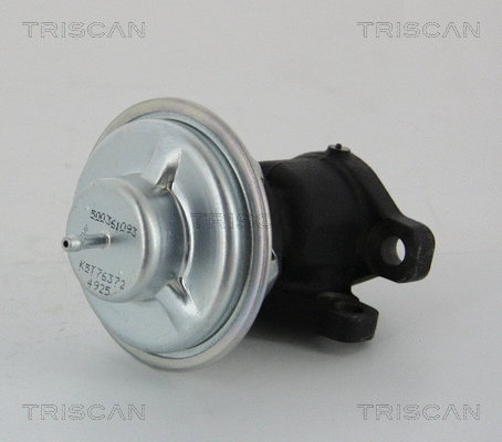 EGR Valve (8813 28011)