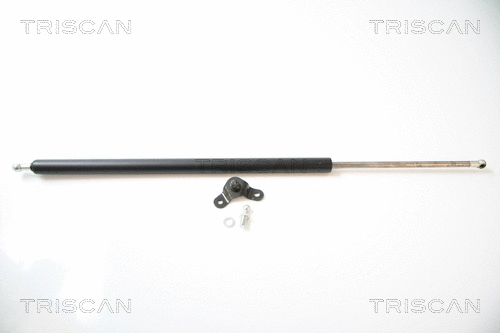Gas Spring, boot/cargo area (8710 40228)