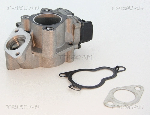 EGR Valve (8813 25203)