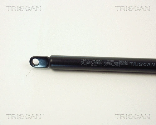 Gas Spring, boot/cargo area