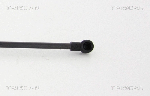 Gas Spring, boot/cargo area