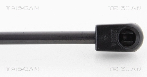 Gas Spring, boot/cargo area