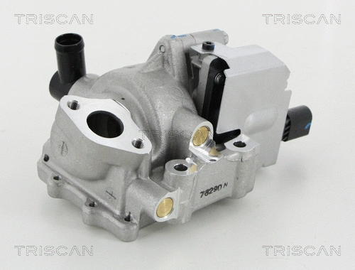 EGR Valve