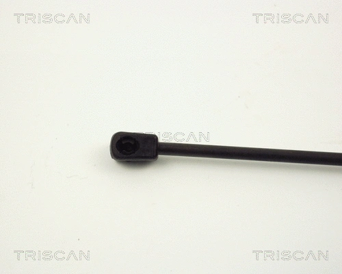 Gas Spring, boot/cargo area