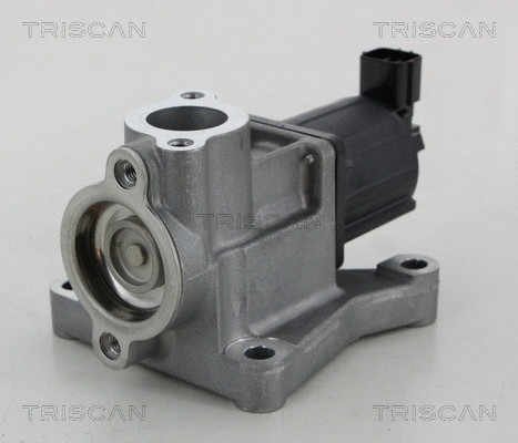 EGR Valve (8813 50015)