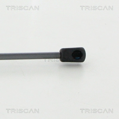 Gas Spring, boot/cargo area