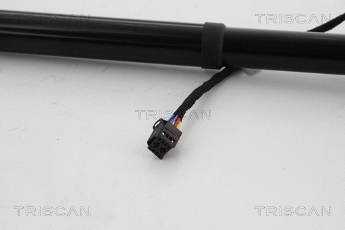 Gas Spring, boot/cargo area