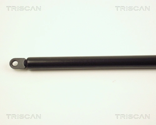 Gas Spring, boot/cargo area