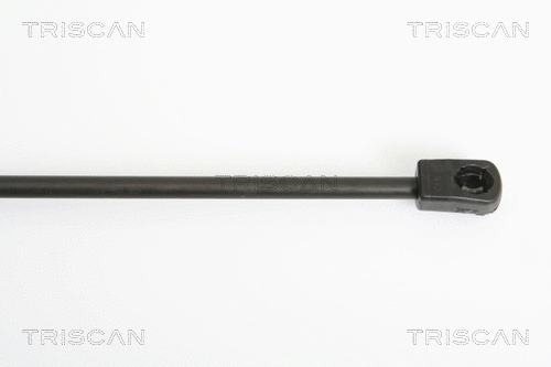 Gas Spring, boot/cargo area