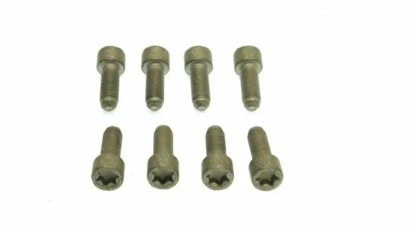 Screw Set, flywheel (DMFS039)