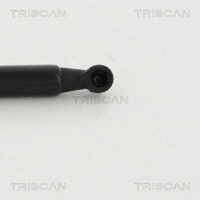 Gas Spring, boot/cargo area