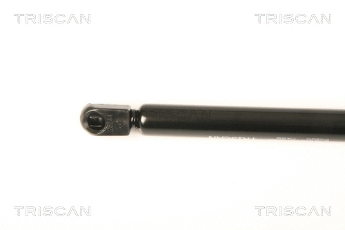 Gas Spring, boot/cargo area