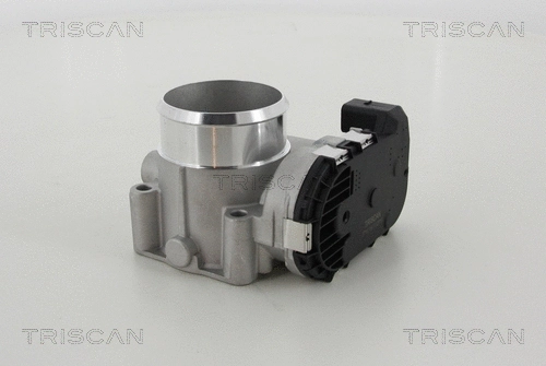 Throttle Body (8820 29007)