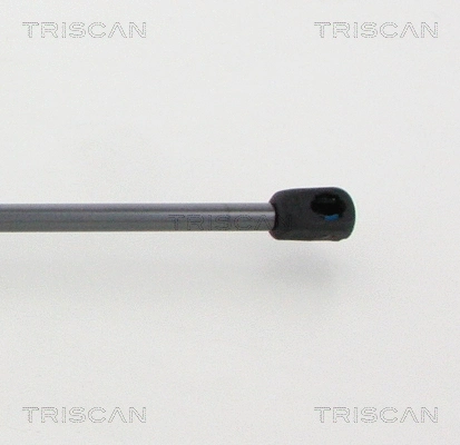Gas Spring, boot/cargo area