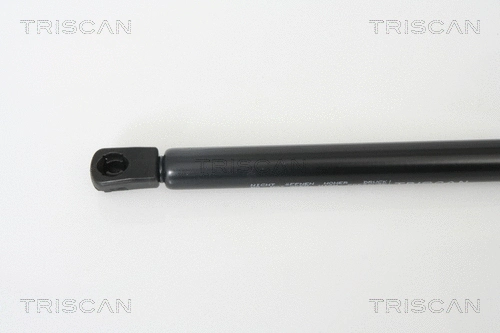 Gas Spring, boot/cargo area