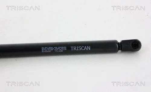 Gas Spring, boot/cargo area