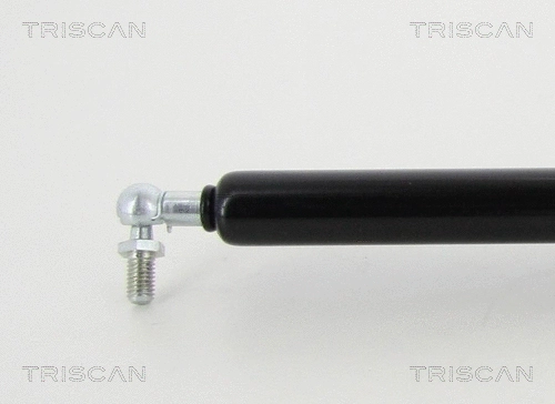 Gas Spring, boot/cargo area