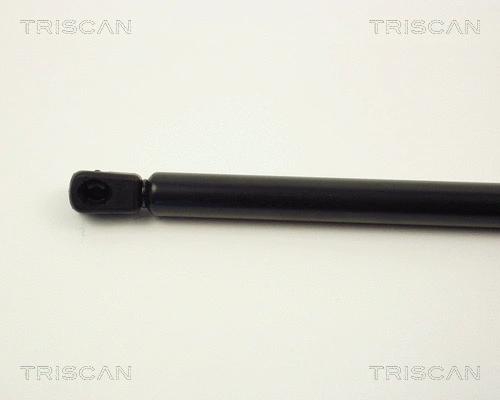 Gas Spring, boot/cargo area