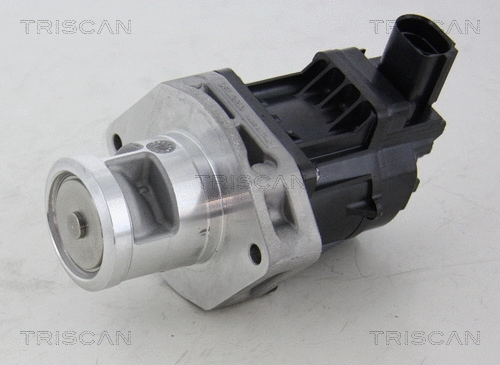 EGR Valve (8813 10214)