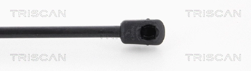 Gas Spring, boot/cargo area
