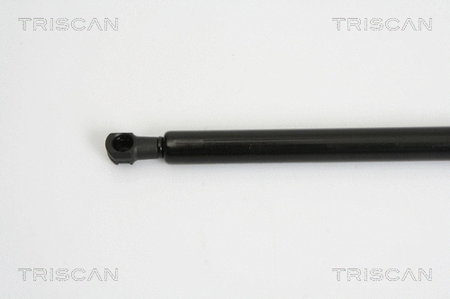 Gas Spring, boot/cargo area