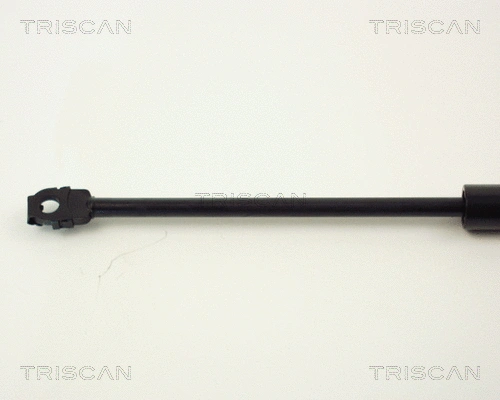 Gas Spring, boot/cargo area