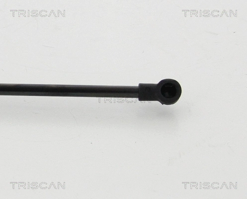Gas Spring, boot/cargo area (8710 24254)