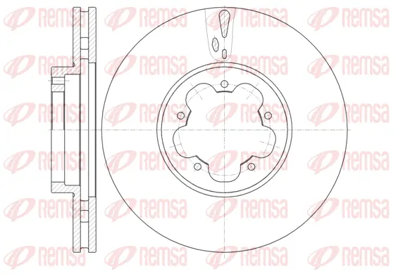 Brake Disc (61022 10)