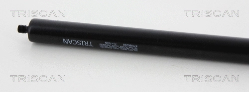 Gas Spring, boot/cargo area