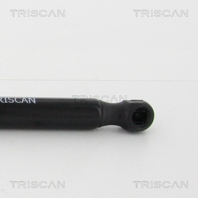 Gas Spring, boot/cargo area
