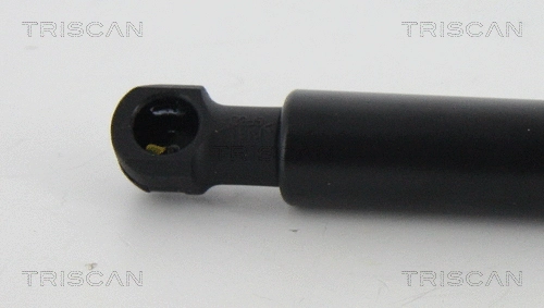 Gas Spring, boot/cargo area