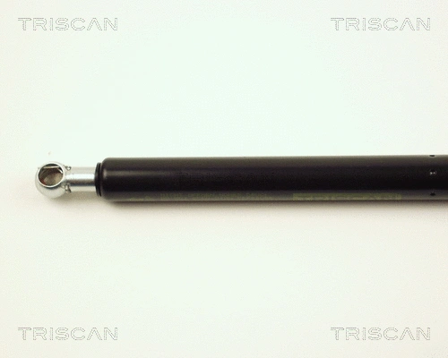 Gas Spring, boot/cargo area