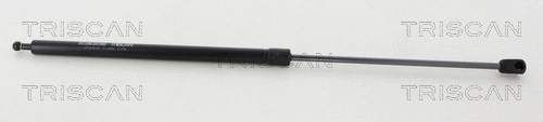 Gas Spring, bonnet (8710 16105)
