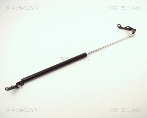 Gas Spring, boot/cargo area (8710 13247)