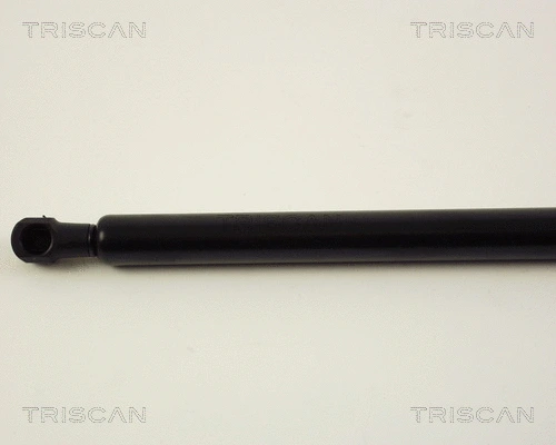 Gas Spring, boot/cargo area