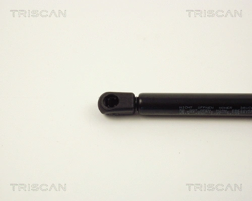 Gas Spring, boot/cargo area